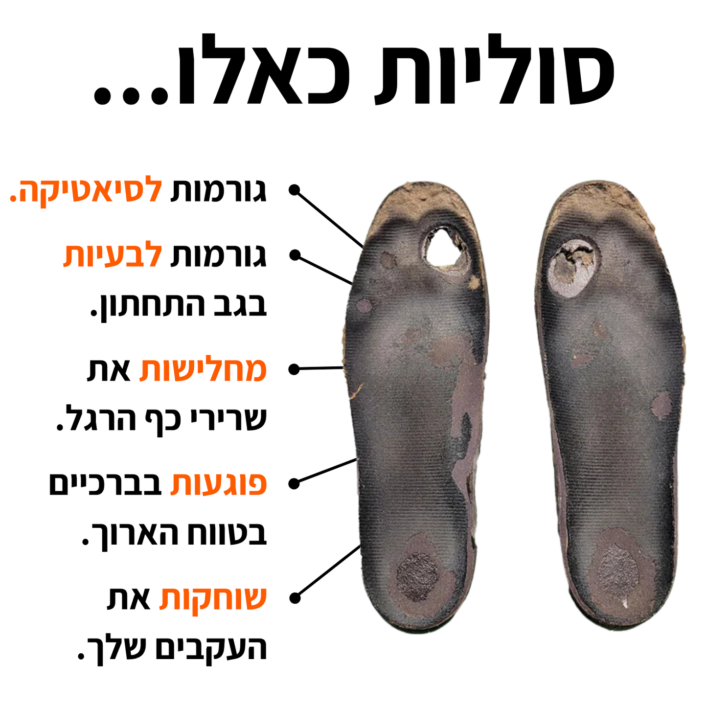 מדרסי הפלא של סיוארה