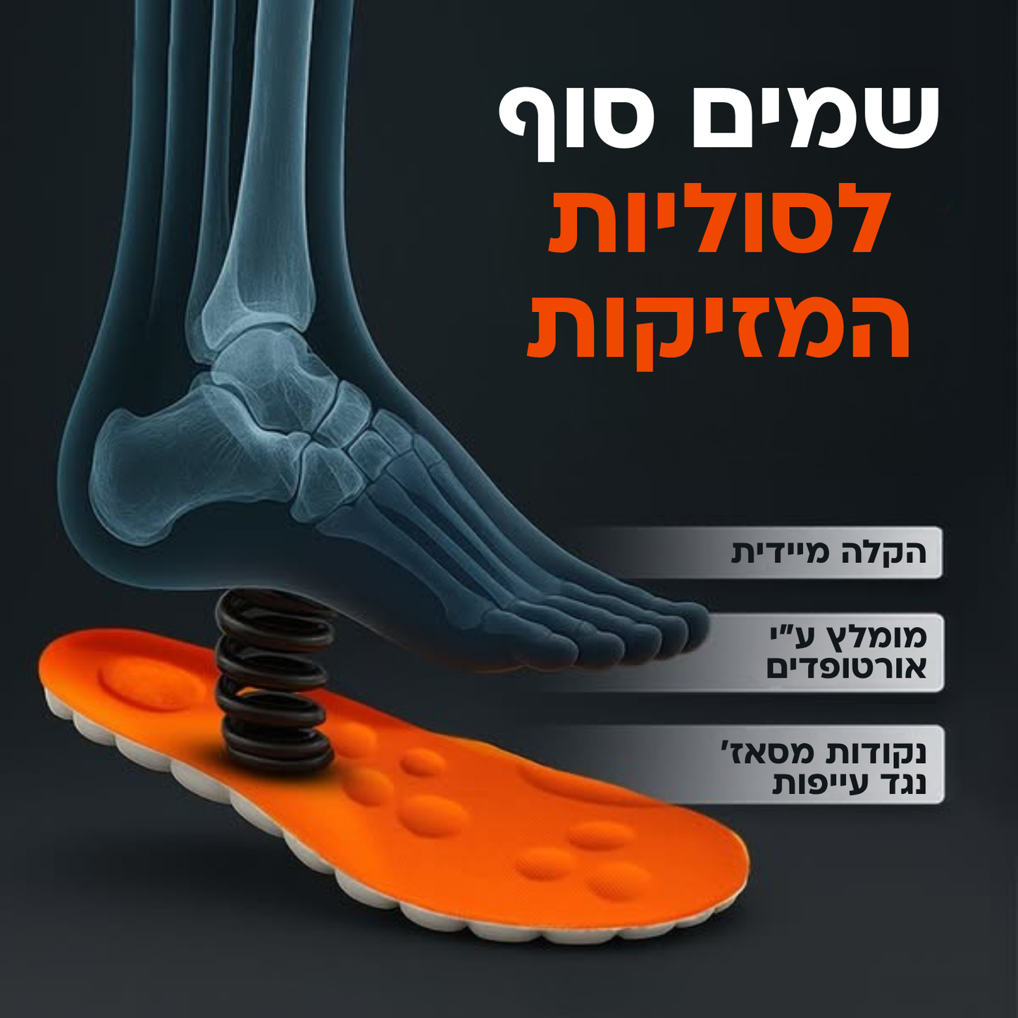 מדרסי הפלא של סיוארה