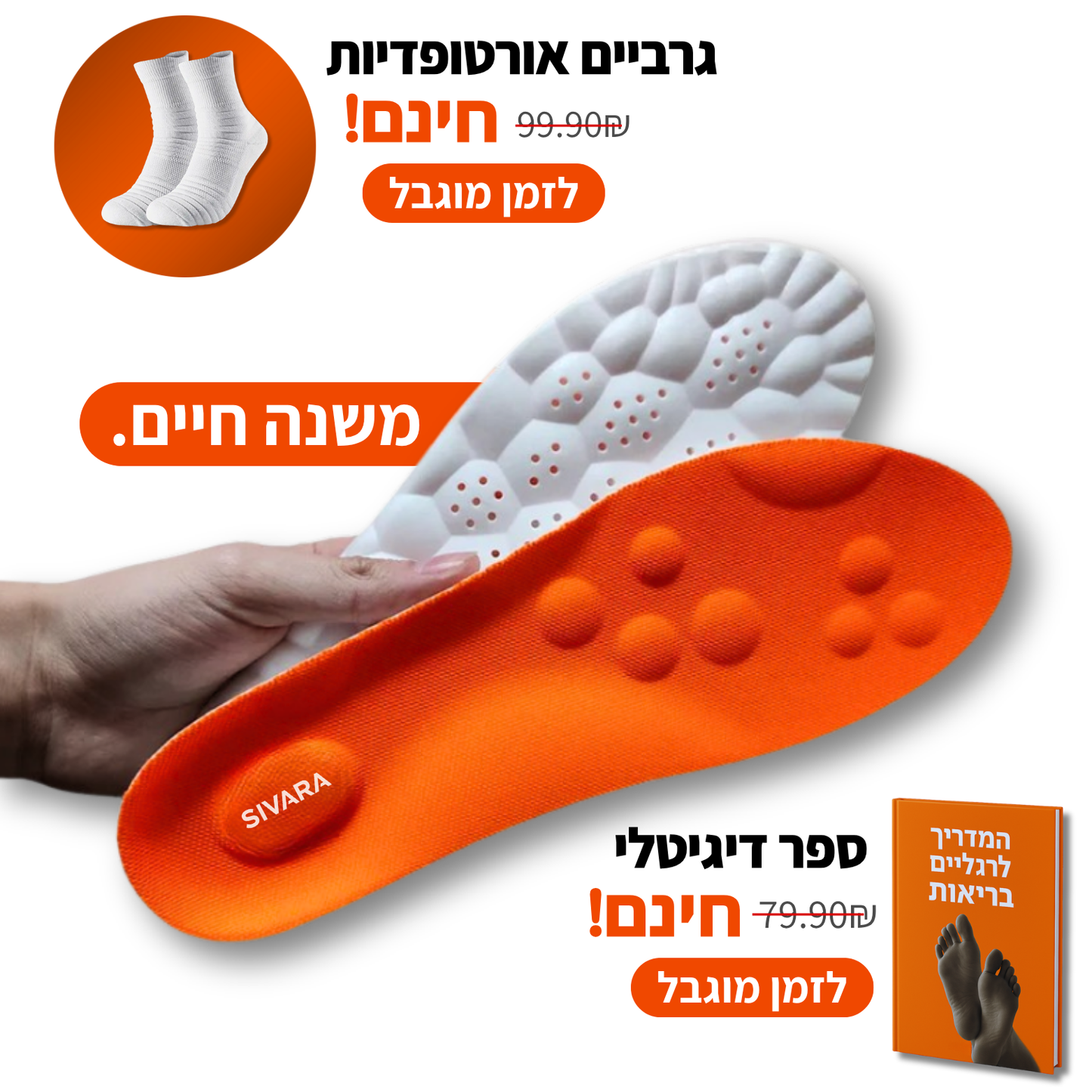 מדרסי הפלא של סיוארה