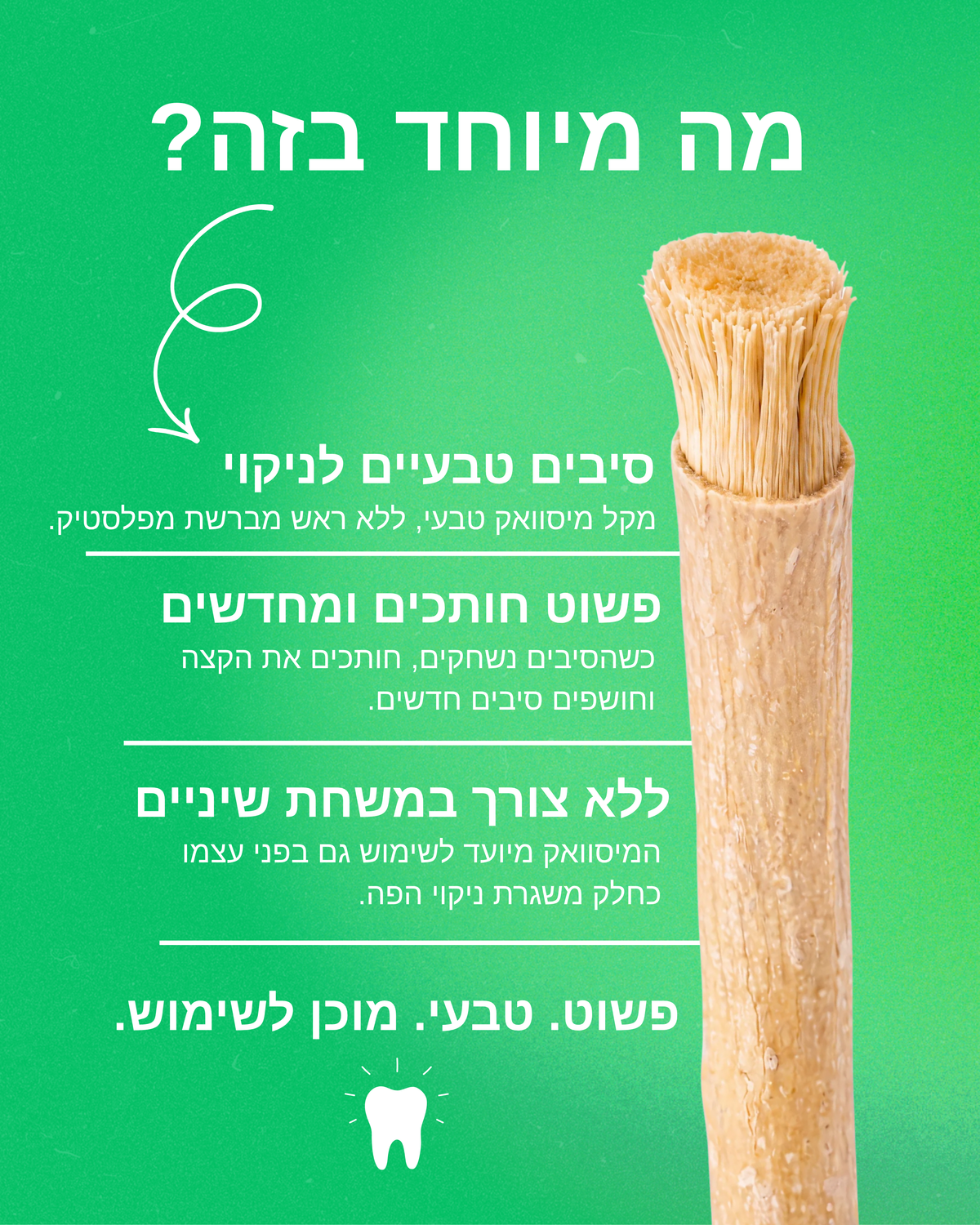 מברשת טבעית לניקוי הפה - SIVARA