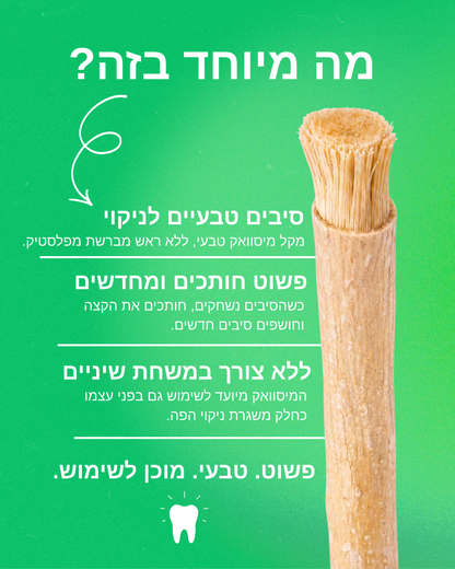 מברשת טבעית לניקוי הפה - SIVARA