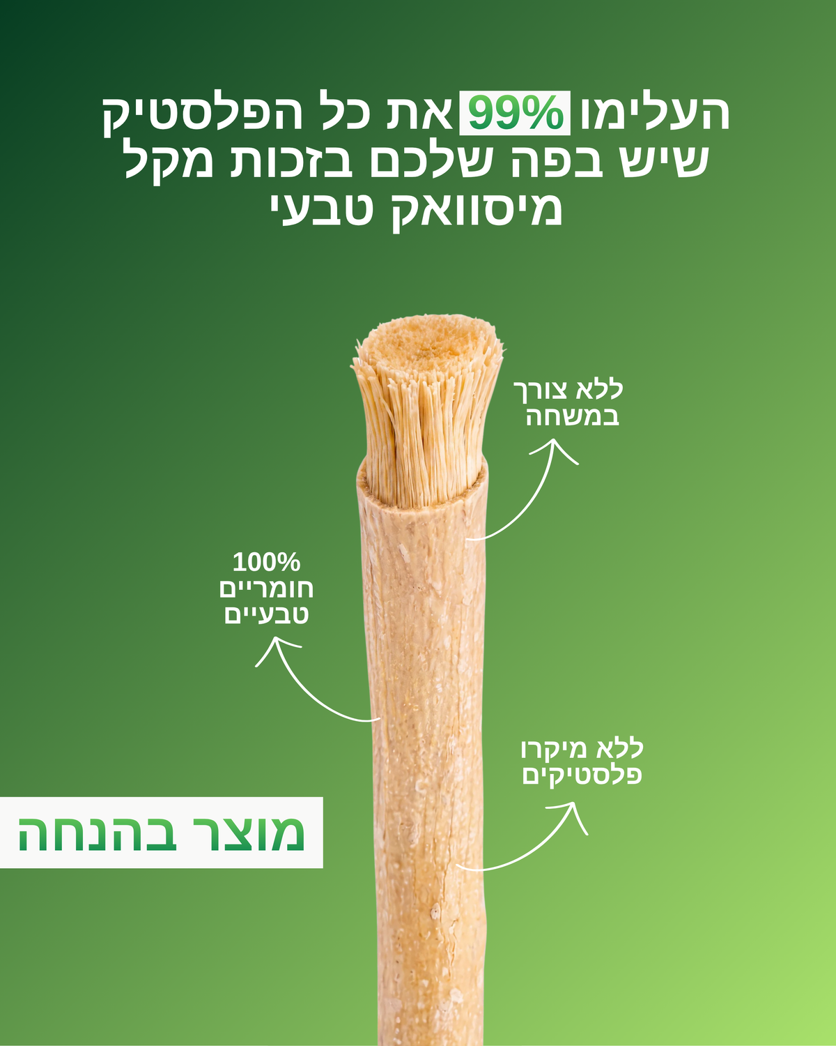 מברשת טבעית לניקוי הפה - SIVARA