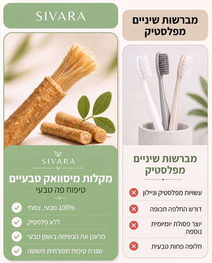 המברשת הטבעית לניקוי הפה - SIVARA