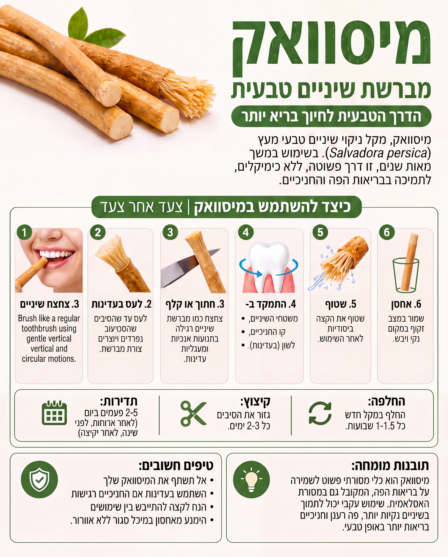 המברשת הטבעית לניקוי הפה - SIVARA