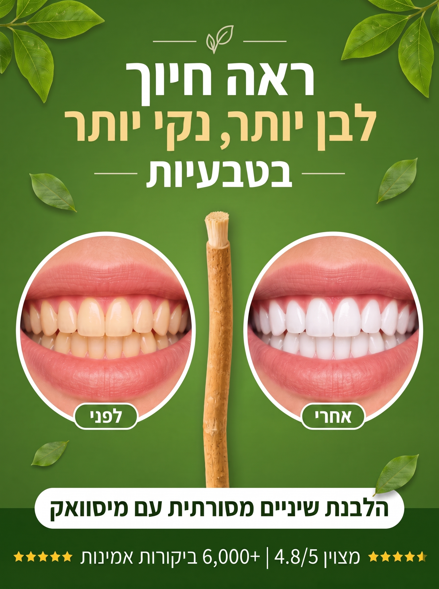 המברשת הטבעית לניקוי הפה - SIVARA