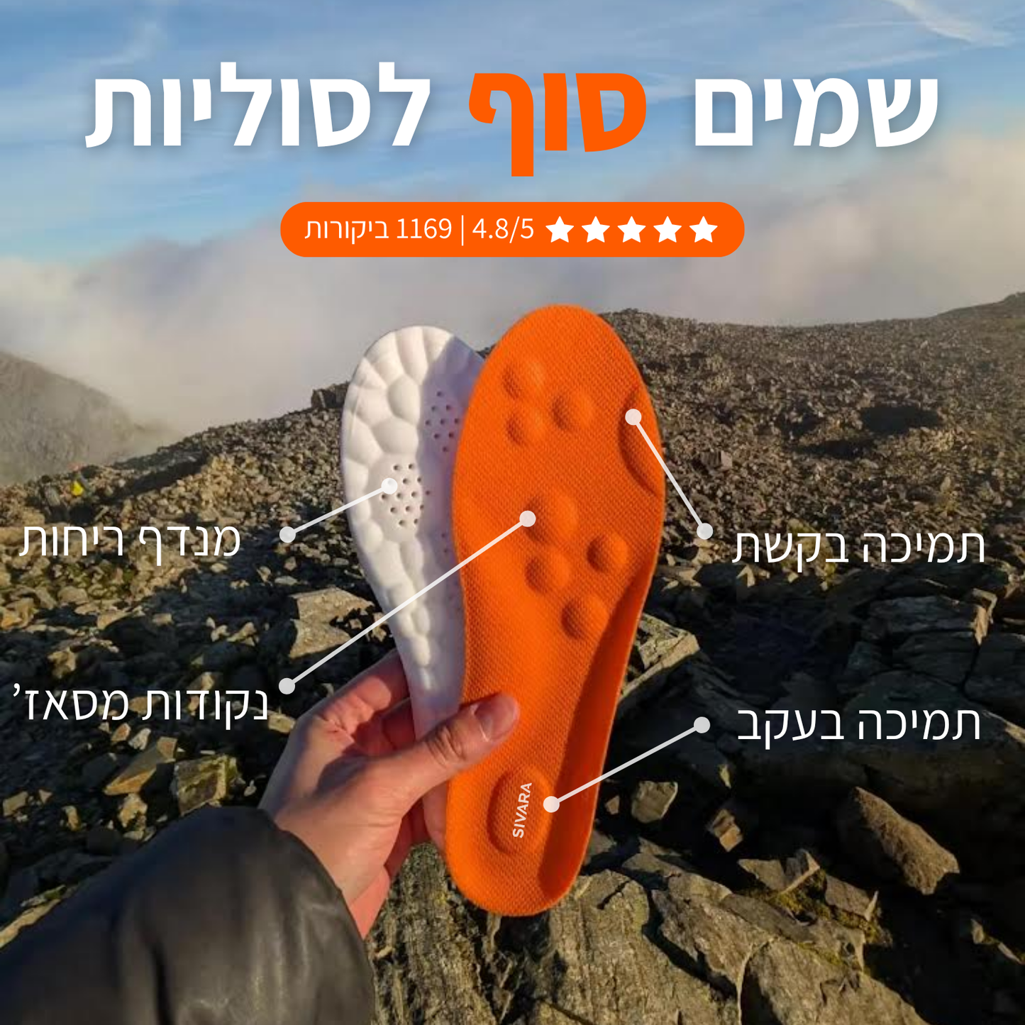 המדרסים של סיוארה