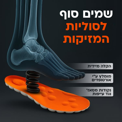 המדרסים של סיוארה