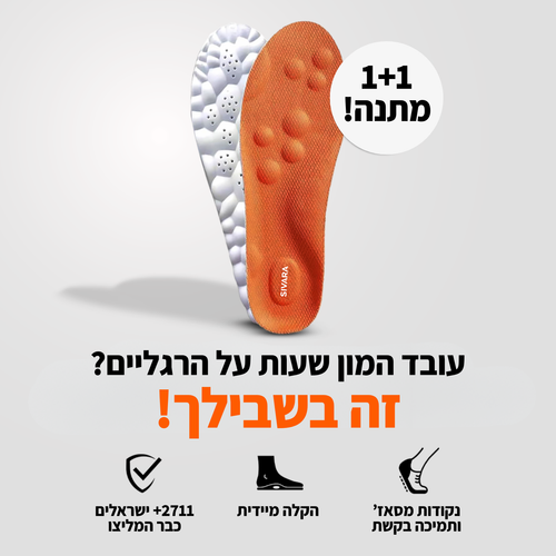 המדרסים של סיוארה