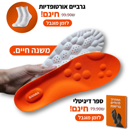 המדרסים של סיוארה