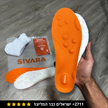 מדרסי הפלא - סיוארה